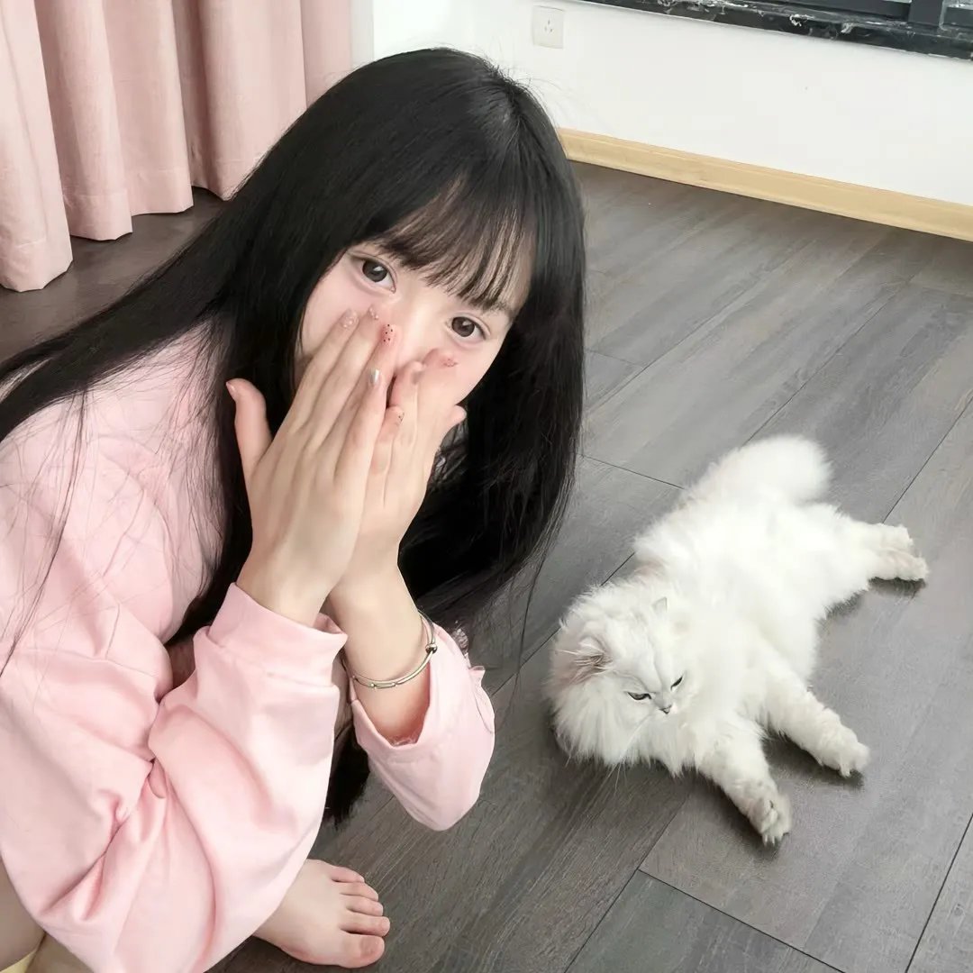 狼群的冲突 在线观看